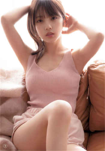 爱情公寓之完美老公