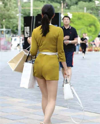 顾依依陆琛是哪本小说