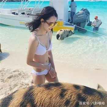 麦兜小可爱 在线