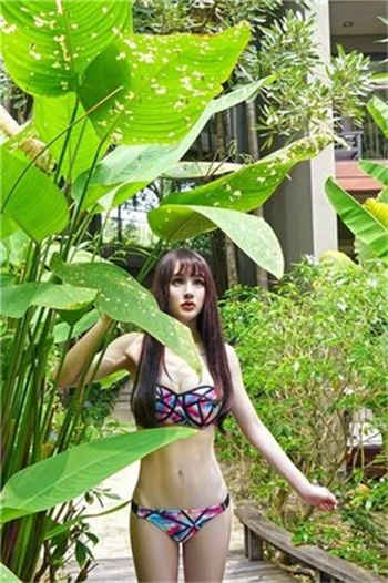 老板的秘密指导日本
