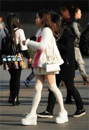 爱情岛论坛软件大全