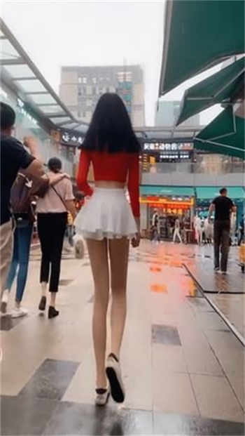 烧烧书阁小说手机版
