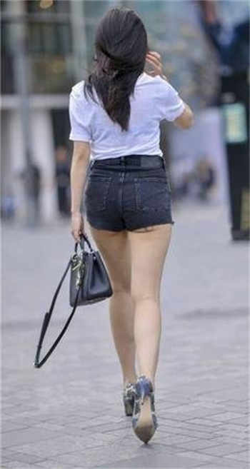 谁有猫咪vip账号