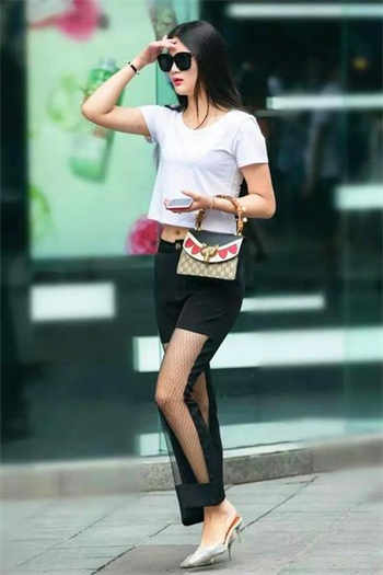 天堂网手机版