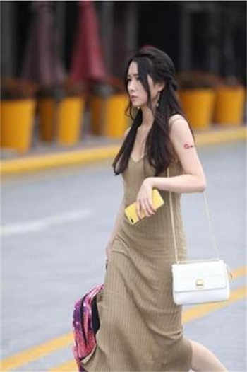 爱情公寓之诸葛大力小说